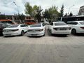 EMFİ RENT A CAR