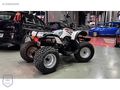 SIFIR '0' PEŞİNAT 48 AY ELDEN SENETLE VADELİ SIFIR ATV