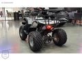 SIFIR '0' PEŞİNAT 48 AY ELDEN SENETLE VADELİ SIFIR ATV