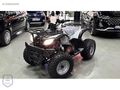 SIFIR '0' PEŞİNAT 48 AY ELDEN SENETLE VADELİ SIFIR ATV