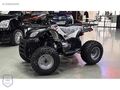SIFIR '0' PEŞİNAT 48 AY ELDEN SENETLE VADELİ SIFIR ATV