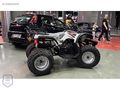 SIFIR '0' PEŞİNAT 48 AY ELDEN SENETLE VADELİ SIFIR ATV