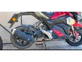 Yuki Hammer 50 2022