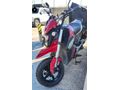 Yuki Hammer 50 2022