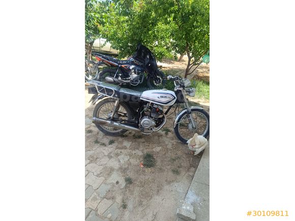 Sahibinden Kuba Çita 100