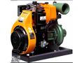 LOMBARDİN Su Motoru 17HP/13 HP 4LD- 820/640 Marşlı Dizel(SIFIR)