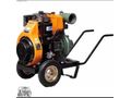 LOMBARDİN Su Motoru 17HP/13 HP 4LD- 820/640 Marşlı Dizel(SIFIR)