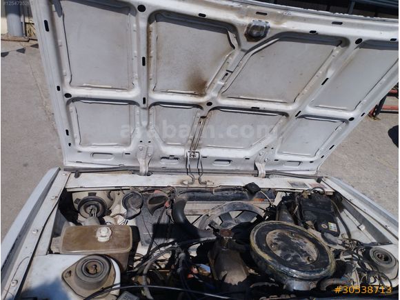 motor parasina zimba gibi sahin
