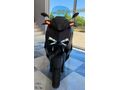 2024 Yamaha X- Max- 250- Tech max Navigasyonlu Mor renk