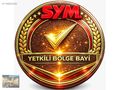 PEŞİNATSIZ 12 TAKSİT SYM Xpro kargo 125cc