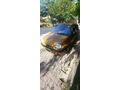 Sahibinden Renault Clio 1.6 RTE 1998 Model