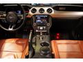 NİĞDELİLER 2016 Ford Mustang 5.0 Fastback Cabrio /Bayi /7494
