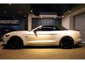 NİĞDELİLER 2016 Ford Mustang 5.0 Fastback Cabrio /Bayi /7494