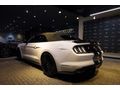 NİĞDELİLER 2016 Ford Mustang 5.0 Fastback Cabrio /Bayi /7494