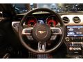 NİĞDELİLER 2016 Ford Mustang 5.0 Fastback Cabrio /Bayi /7494