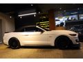 NİĞDELİLER 2016 Ford Mustang 5.0 Fastback Cabrio /Bayi /7494