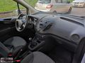 OTOMOBİL RUHSATLI 100 BEYGİR