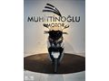 MUHİTTİNOĞLU MOTOR PRECIO250MAX NAKİT FİYATINA 3 TAKSİT
