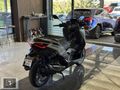 2025 X-Max 250 Tech Max+ Koltuk Istm Elcik Istm "PAŞA OTOMOTİV"