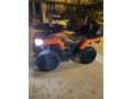 Sahibinden Loncin XWolf 300 Aksaray