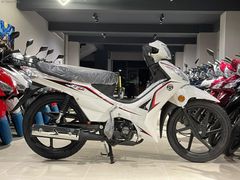 2024-EGE 50-/ NAKİTE ÖZEL//