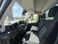 Galeriden Ford Trucks Transit 350 M Kars
