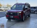 YÜKSEL PLAZA FORD TOURNEO COURİER 1.0l TİTANİUM