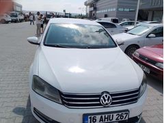 Beyaz güvercin Passat