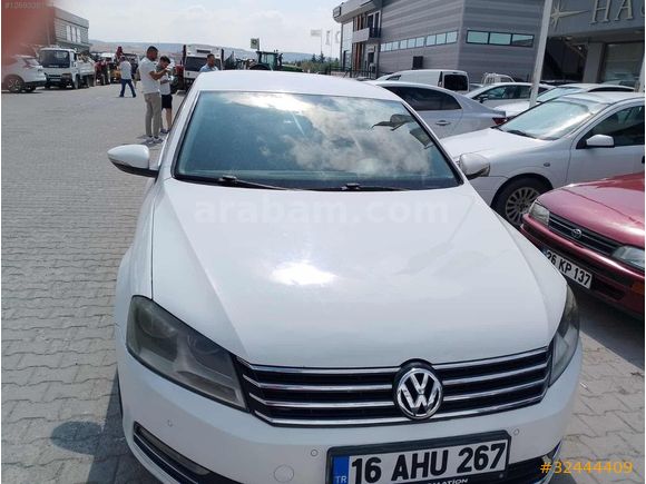 Beyaz güvercin Passat