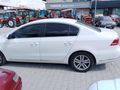 Beyaz güvercin Passat