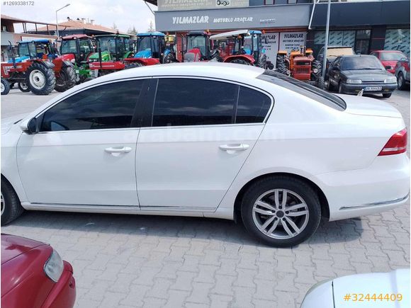 Beyaz güvercin Passat