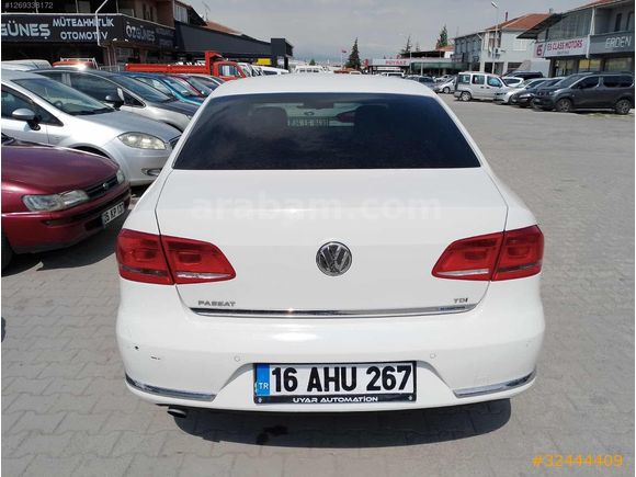 Beyaz güvercin Passat