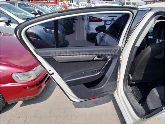 Beyaz güvercin Passat