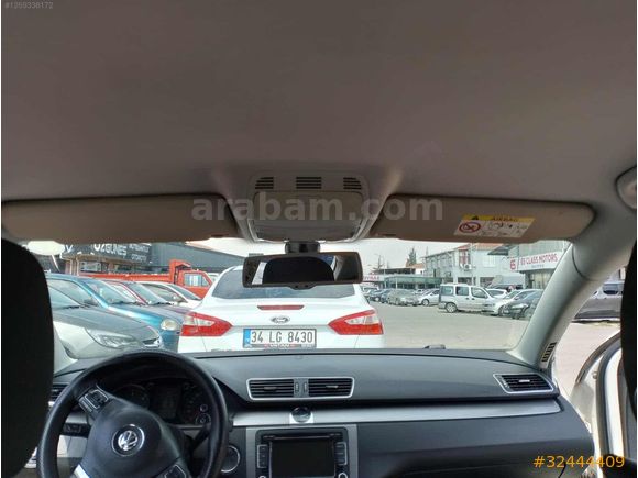 Beyaz güvercin Passat