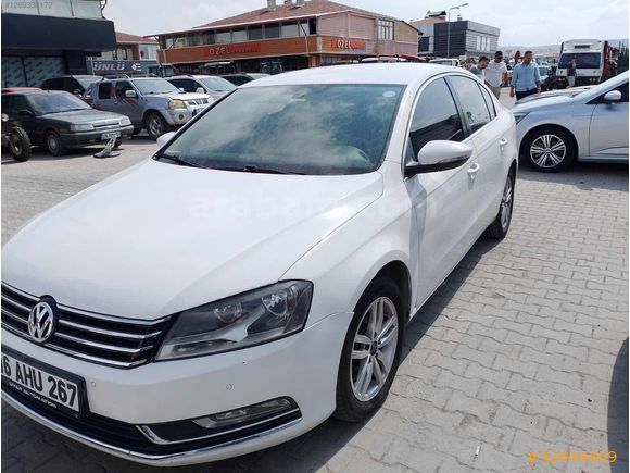 Beyaz güvercin Passat