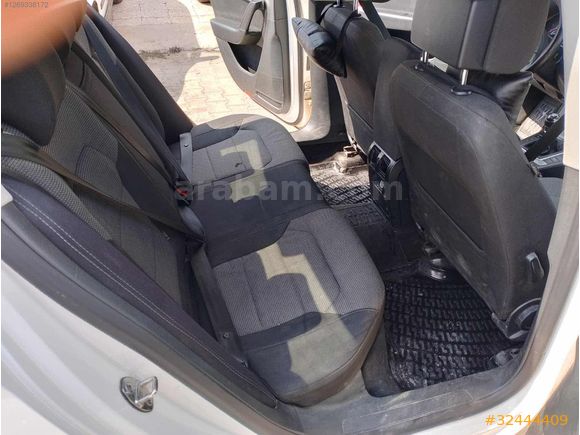 Beyaz güvercin Passat
