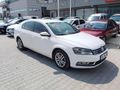 Beyaz güvercin Passat