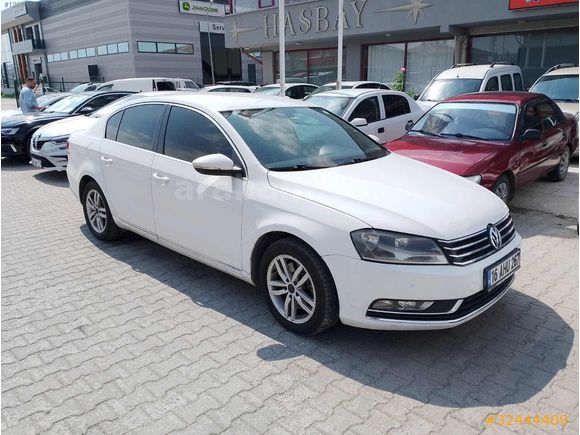 Beyaz güvercin Passat