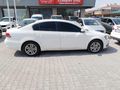 Beyaz güvercin Passat