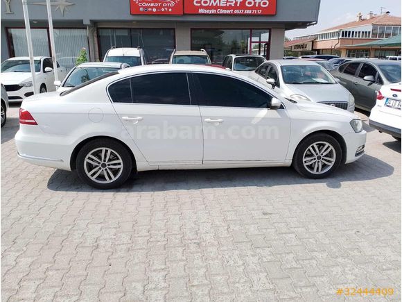 Beyaz güvercin Passat