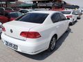 Beyaz güvercin Passat