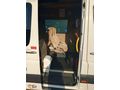 2013 CRAFTER