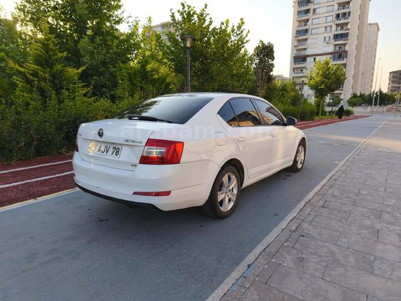 Dizel OTOMATİK vites 2013 Model Octavia