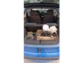 Opel Tigra 1.6 1998 Model r