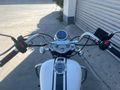 Sahibinden Regal Raptor Classic 125