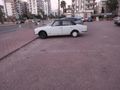 Beyaz melegim satlık