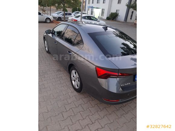 Sahibinden Skoda Octavia 1.0 e-Tec Elite 2024 Model