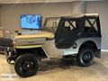 DEMİR CLASSİC | 1953 JEEP WİLLYS