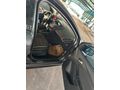 Sahibinden Ford Focus 1.6 Ti-VCT Trend X 2016 Model