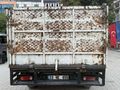 Sahibinden Ford Trucks Transit 330 S